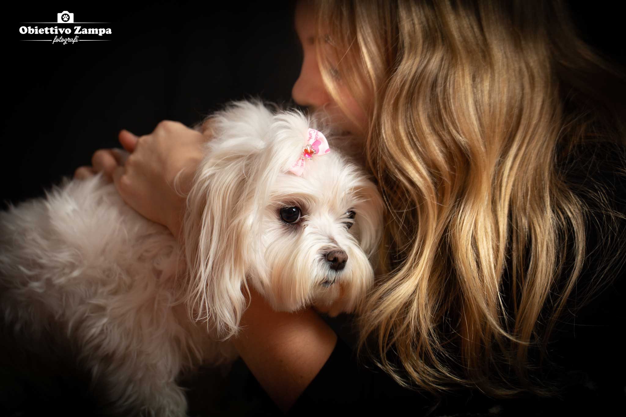 foto cani Bologna Obiettivo Zampa fotografo. Servizi fotografici professionali per animali domestici da compagnia, cane, gatti e cuccioli in studio fotografico, dog photography